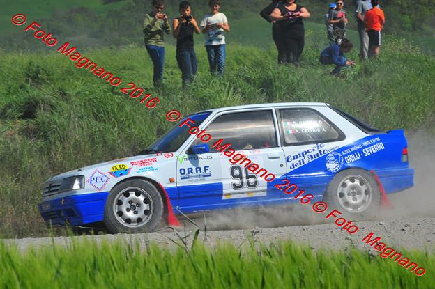 DSC_1294.JPG